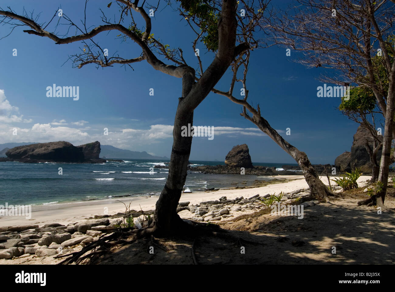 weißen sandigen Strand der Papuma im östlichen Java am hellen Tag Stockfoto