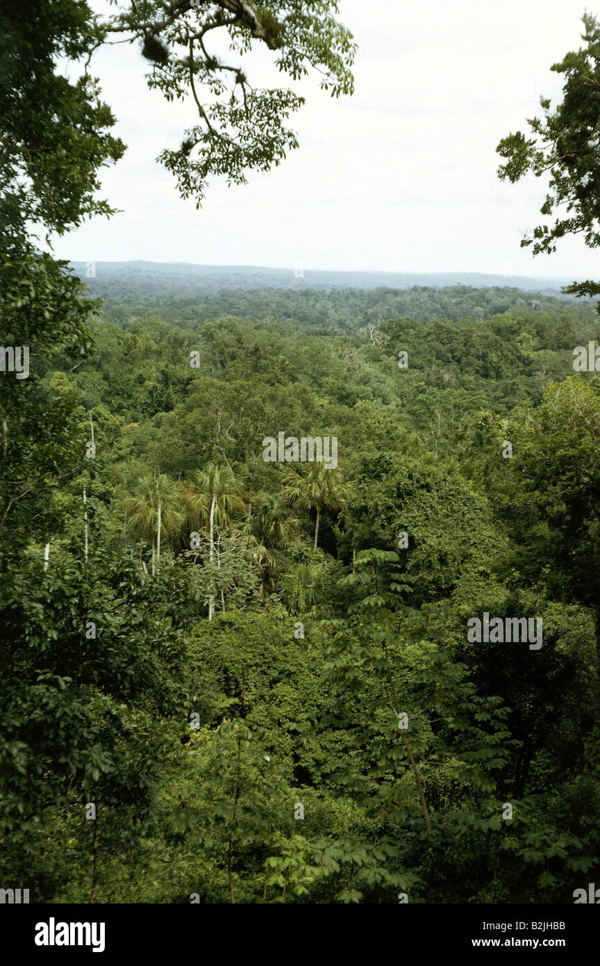 Geographie/Reisen, Guatemala, Landschaft, landschaften, Tikal, Dschungel, Additional-Rights - Clearance-Info - Not-Available Stockfoto