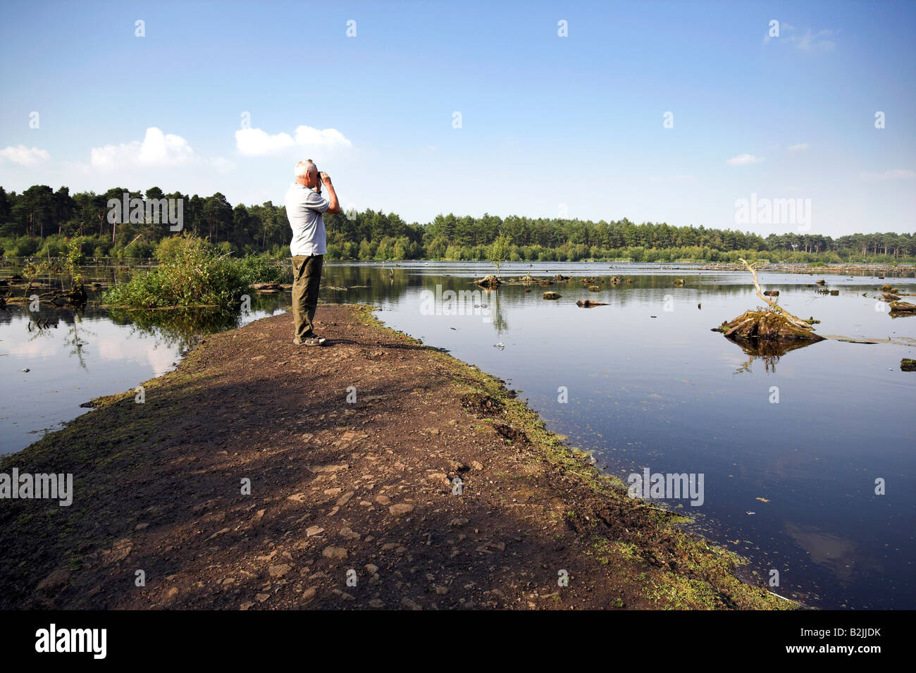 Mann mit dem Fernglas, überschwemmten Feuchtgebiet, Blakemere Moos, Delamere Wald, Teil des Mersey-Wald in der Nähe von Northwich, Cheshire, UK Stockfoto