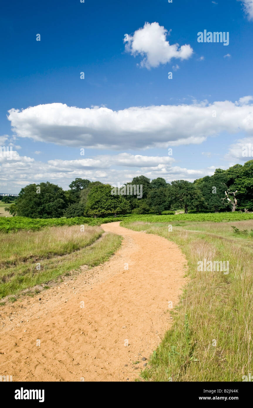Wanderweg im Richmond Park Richmond größere London England UK Stockfoto