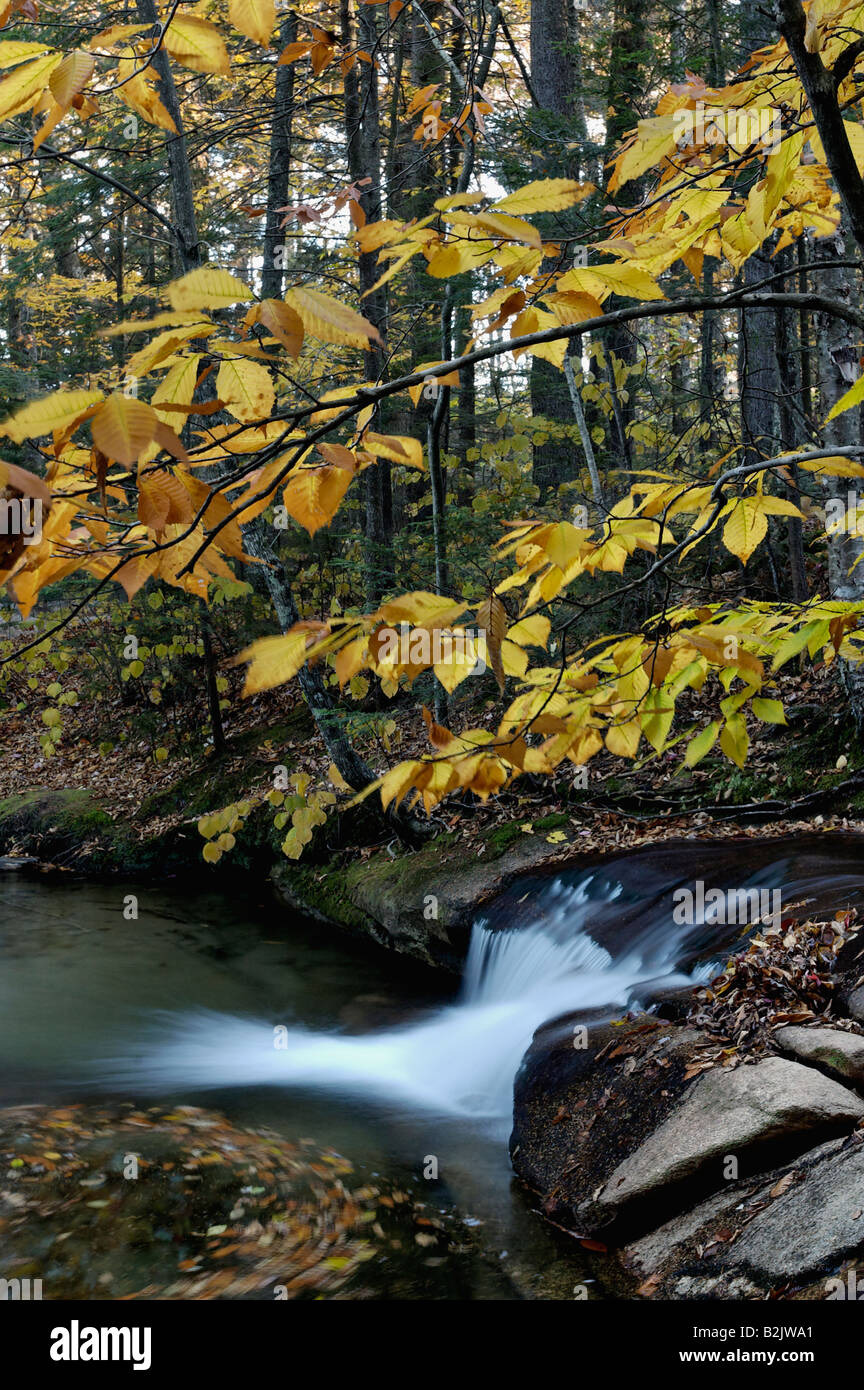 Überlappend auf den Pemigewasset River in der Nähe des Beckens in Franconia Notch State Park Grafton County New Hampshire Stockfoto