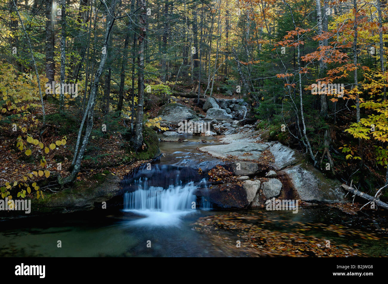 Wasserfall auf dem Pemigewasset River im Becken in Franconia Notch State Park Grafton County New Hampshire Stockfoto