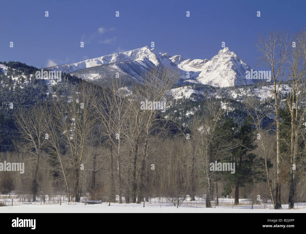 Geographie/Reisen, USA, Washington, Landschaften, Trapper Peak, Bitterroot Mountains, Additional-Rights - Clearance-Info - Not-Available Stockfoto