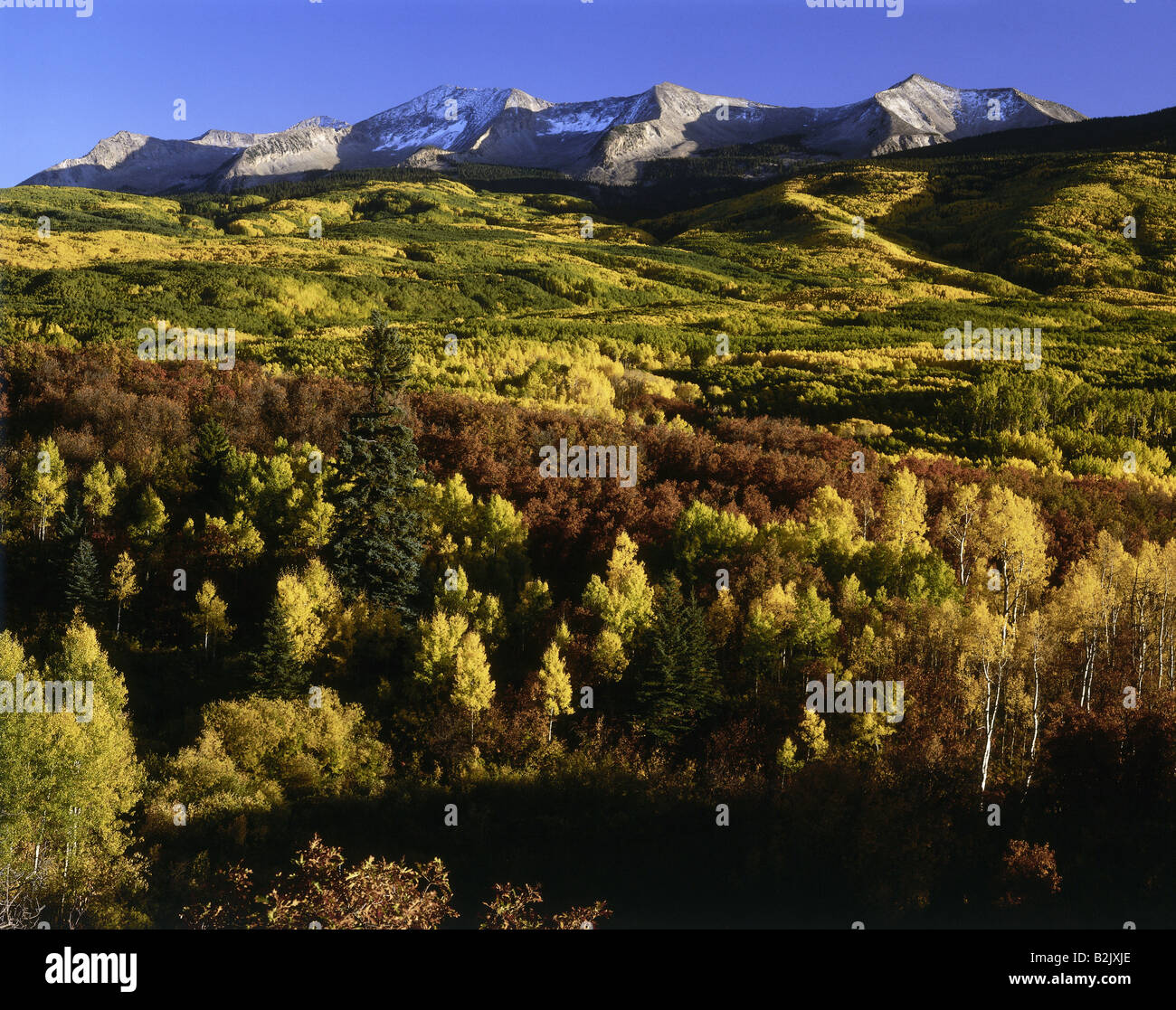 Geographie/Reisen, USA, Colorado, Landschaften, West Elk Berge, Kebler, Additional-Rights - Clearance-Info - Not-Available Stockfoto