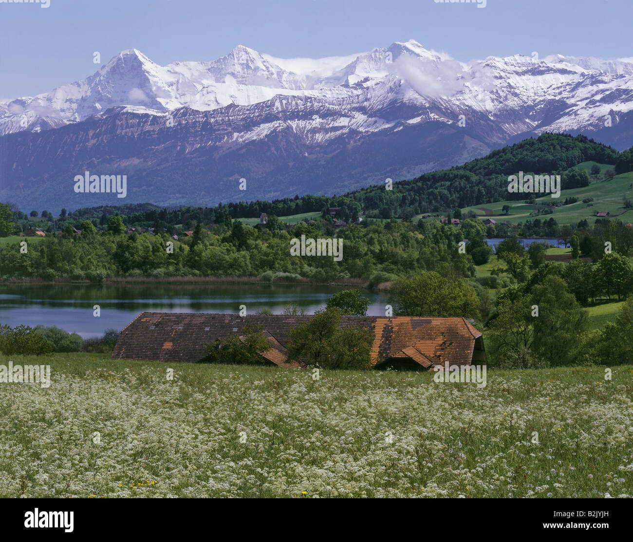Geographie/Reisen, Schweiz, Bern, Landschaften, Additional-Rights - Clearance-Info - Not-Available Stockfoto