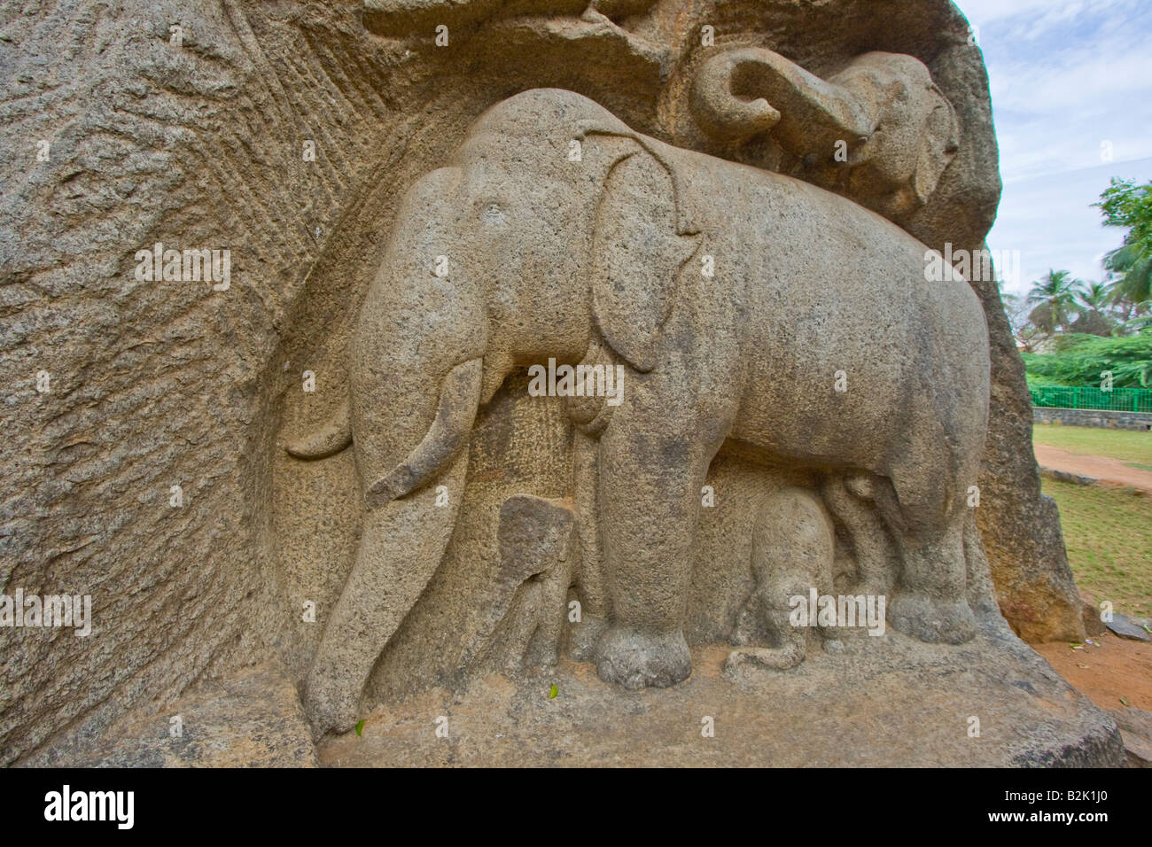 Hindu Elephant Rock Carving in Mamallapuram Südindien Stockfoto