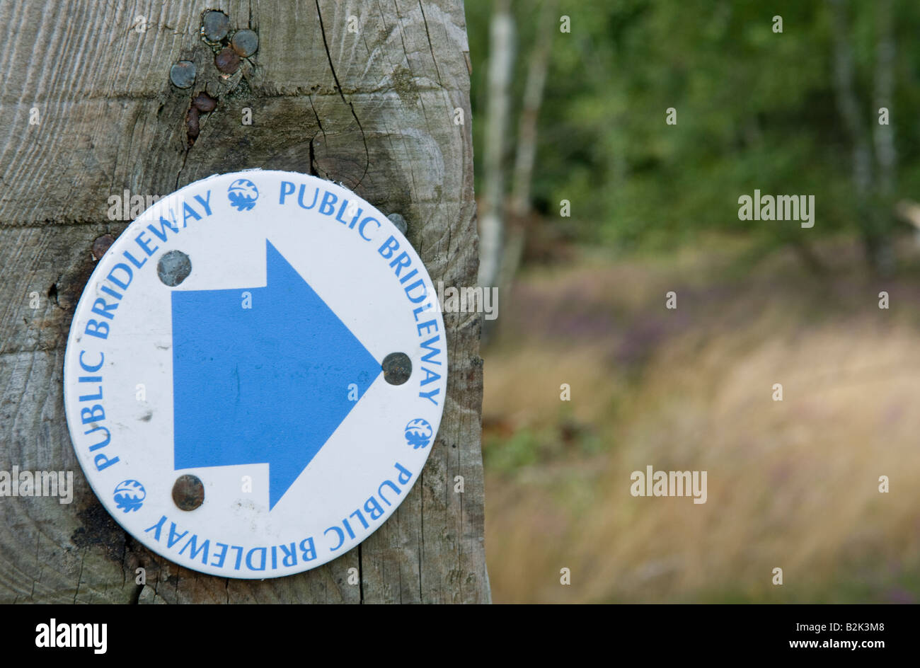 Öffentliche Maultierweg Zeichen Thursley gemeinsame nationale Natur-Reserve-Surrey England Juli 2008 Stockfoto