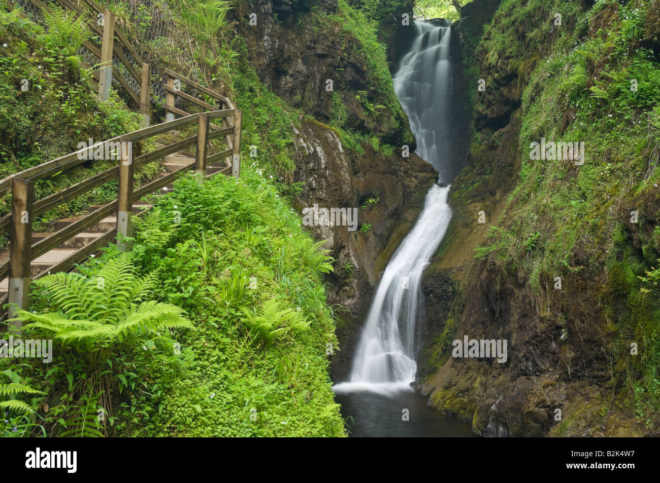 Ess Na Larach Wasserfall Glenariff Glen Ariff Waldpark in der Nähe von Cushendall County Antrim Nordirland Großbritannien GB EU Europa Stockfoto
