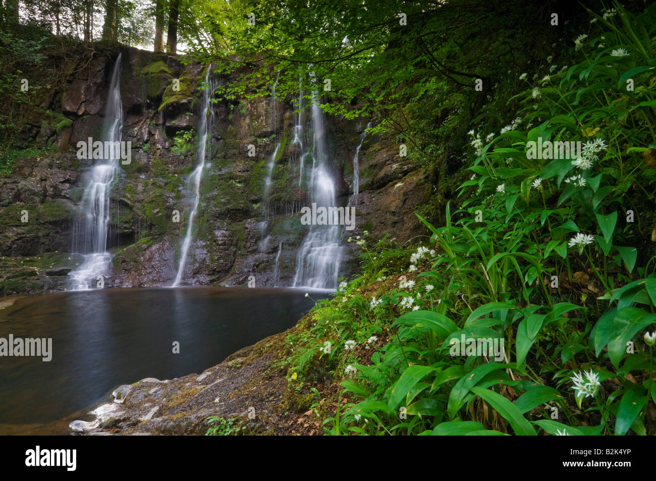 Ess Na Crub Wasserfall Glenariff Glen Ariff Waldpark in der Nähe von Cushendall County Antrim Nordirland Großbritannien GB EU Europa Stockfoto