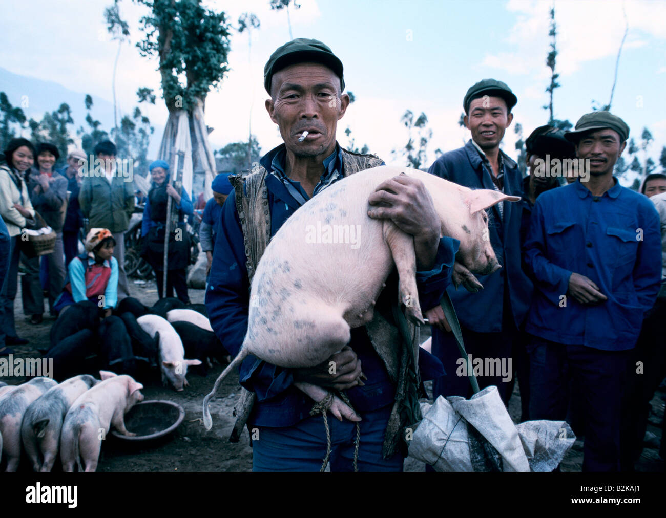 Landwirtschaft in China Landwirtschaft Stockfoto