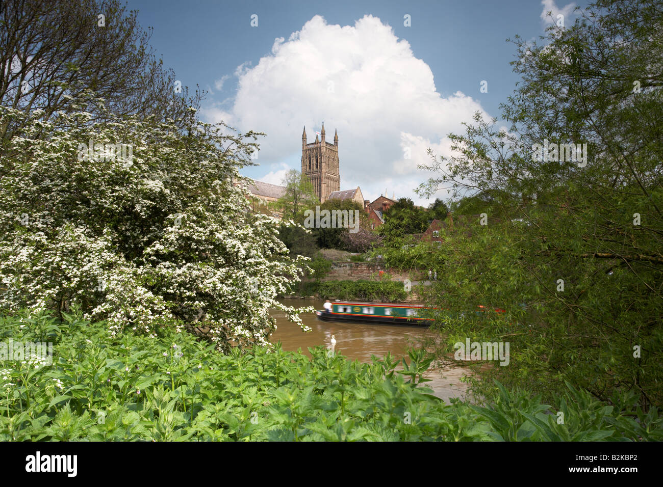 Blick über den Fluss Severn in Worcester in Richtung Kathedrale, Worcestershire, England, UK. Stockfoto