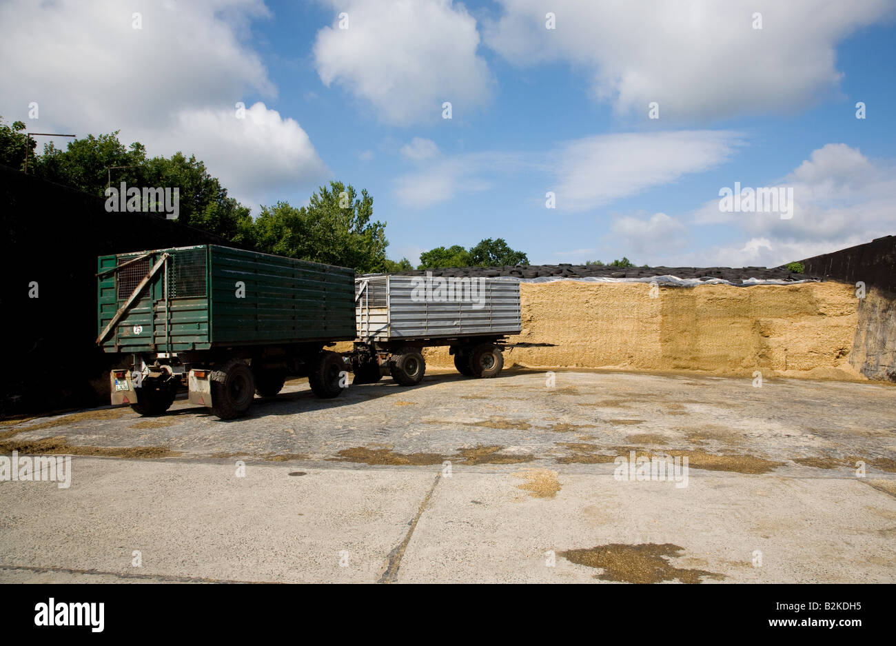 Platz für Viehfutter Stockfoto