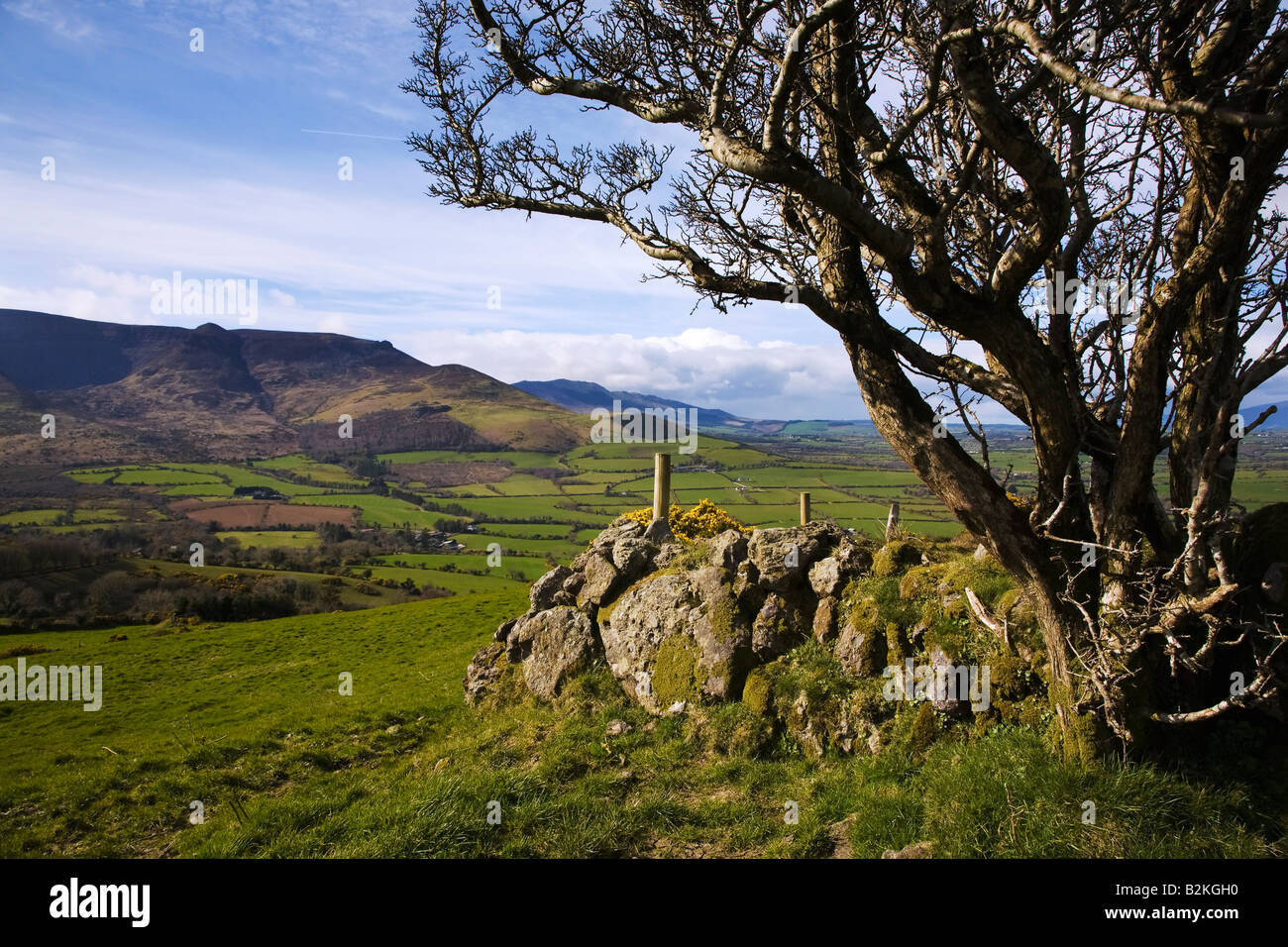 Comeragh Mountains von Croaghaun Hügel, Grafschaft Waterford, Irland Stockfoto