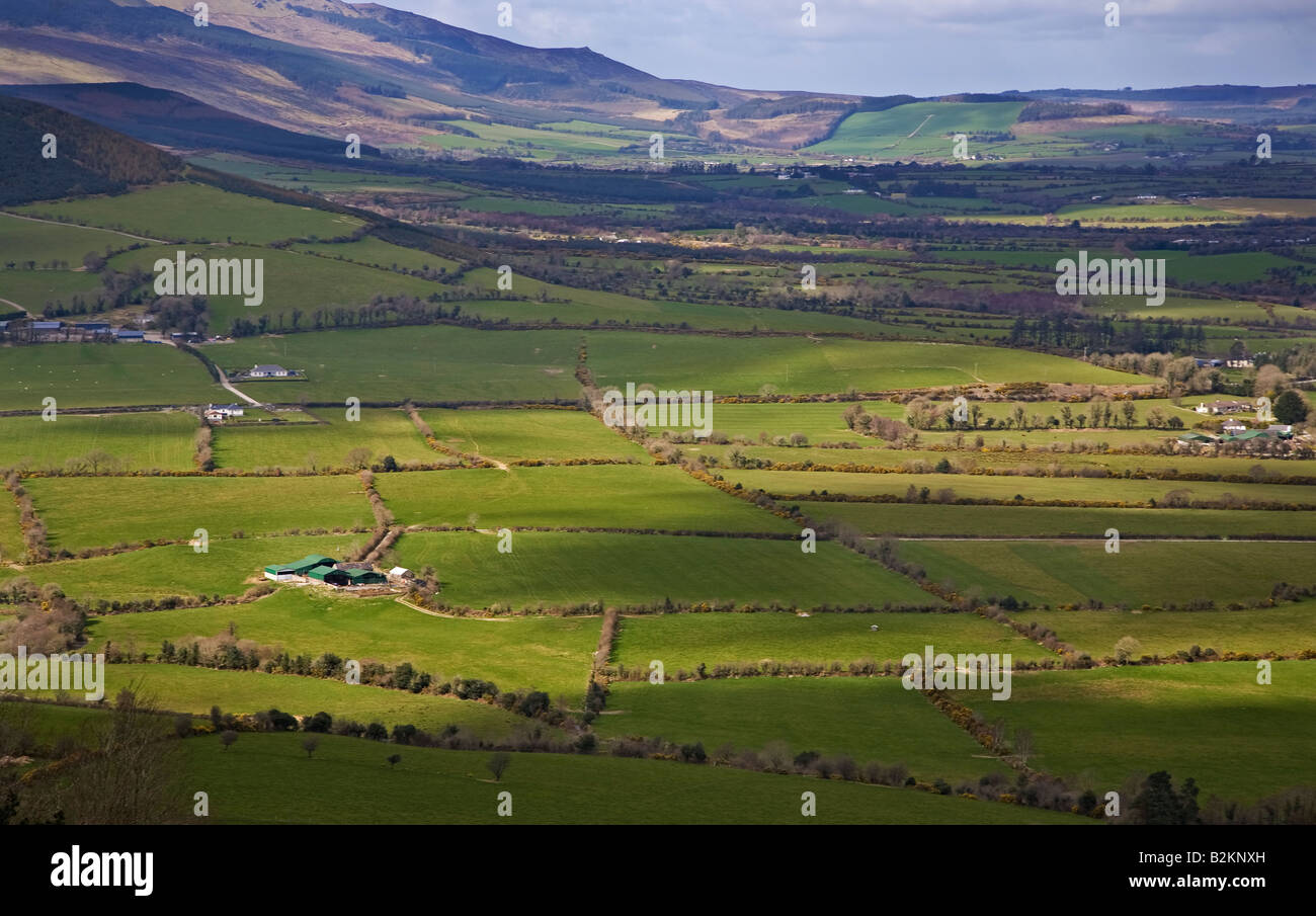 Farmscape von kleinen Feldern, in der Nähe von Comeragh Mountains, Grafschaft Waterford, Irland Stockfoto
