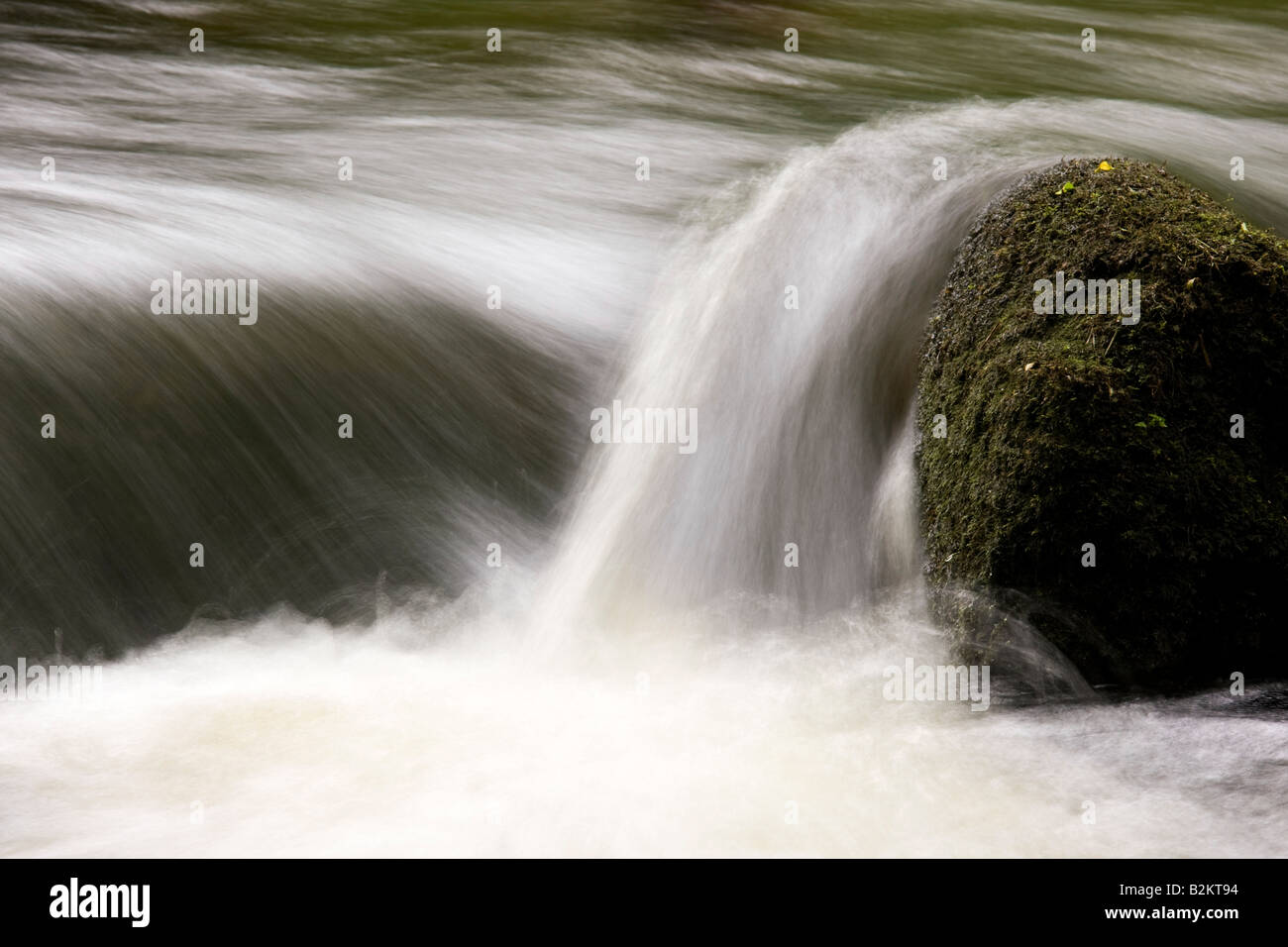 Wasser Kaskadierung über Felsblöcke in einem Wald-Fluss Stockfoto