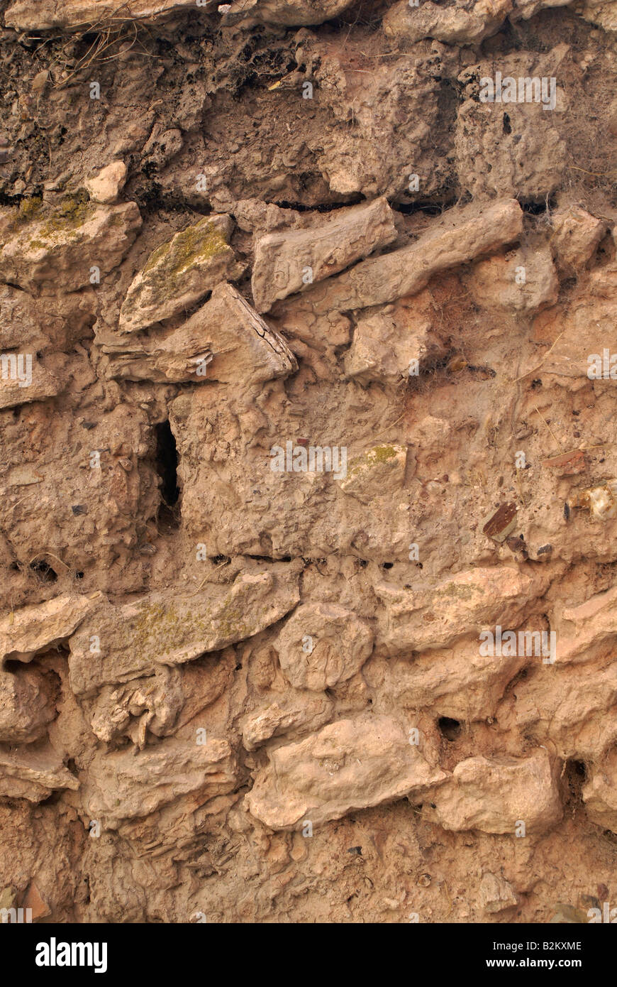 Struktur und Muster in eine Adobe-Mauer Stockfoto