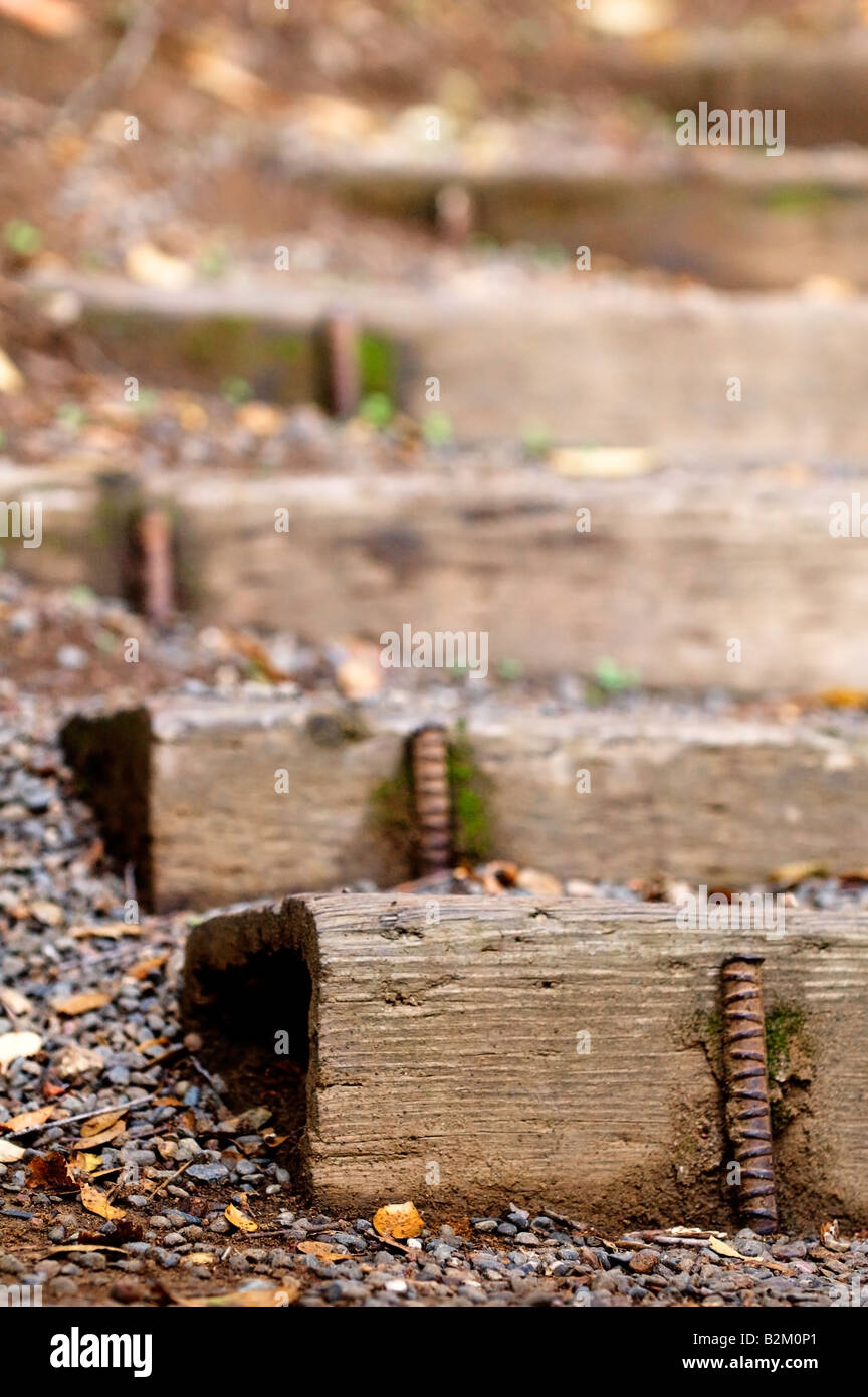 Erster Schritt einer Reihe von alten rustikal aussehende Holztreppen im Fokus Stockfoto
