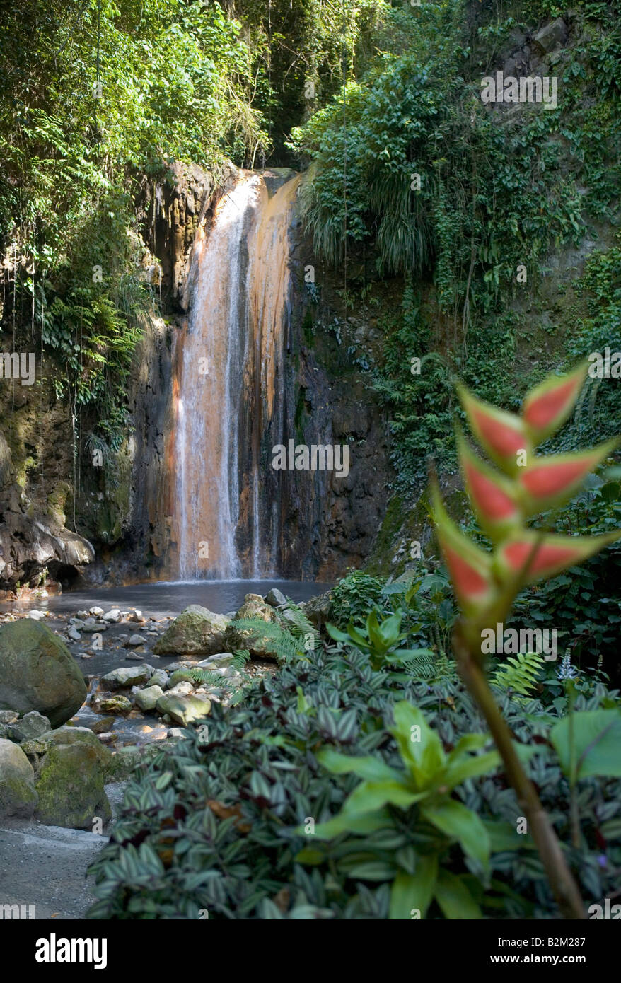 Die Warmwasser mineralischen Wasserfälle im Botanischen Garten in St Lucia Westindien Stockfoto