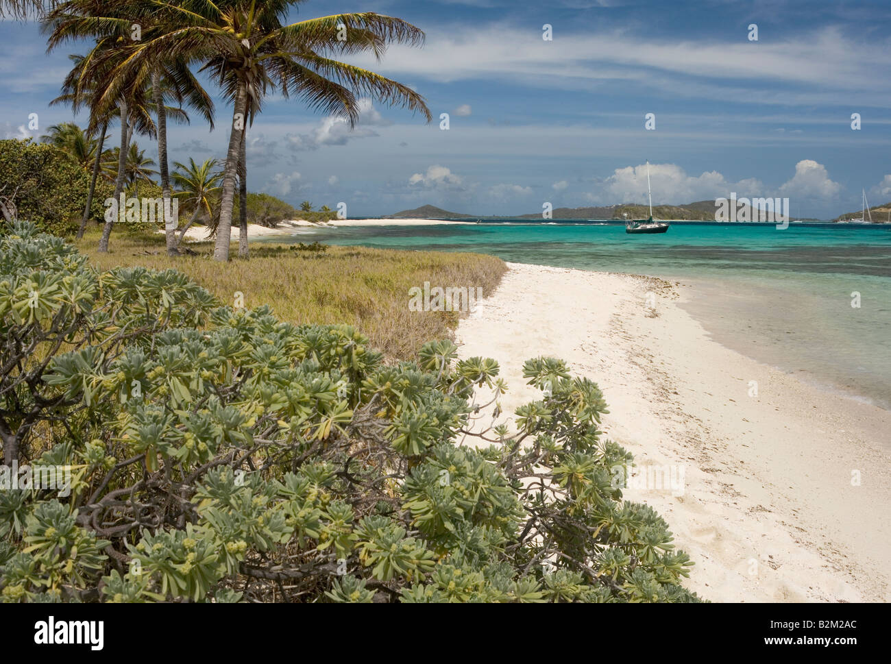 Ein einsamer Kreuzfahrt-Segelboot bei Petit Tabac Insel in den Tobago Cays St. Vincent und die Grenadinen Stockfoto