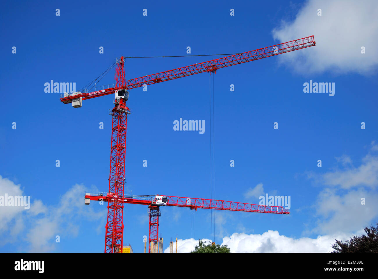 Hohe Baukräne, Reading, Berkshire, England, Vereinigtes Königreich Stockfoto