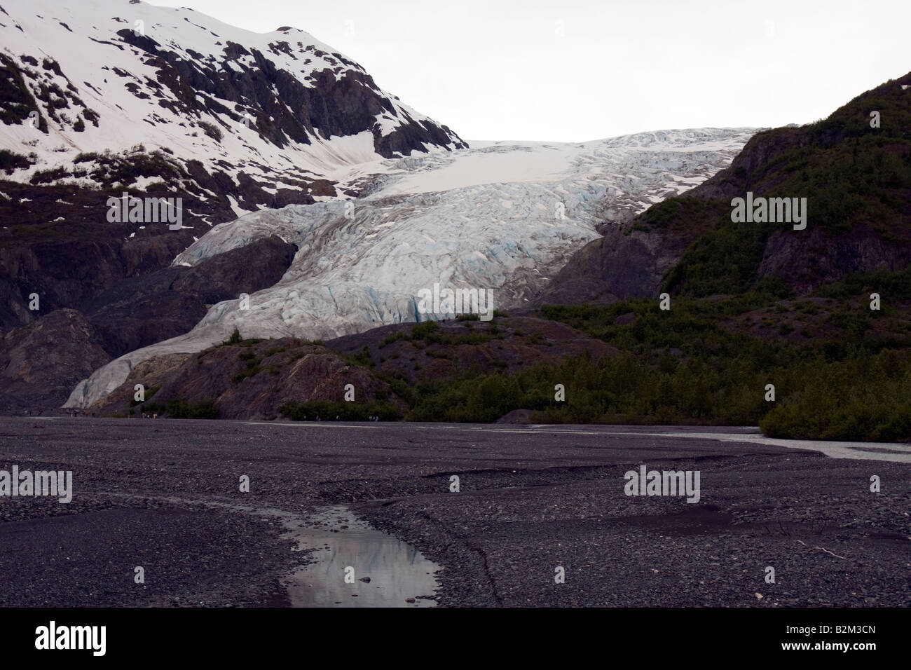 Gletscher, die vom Harding Icefield, Alaska zu beenden Stockfoto
