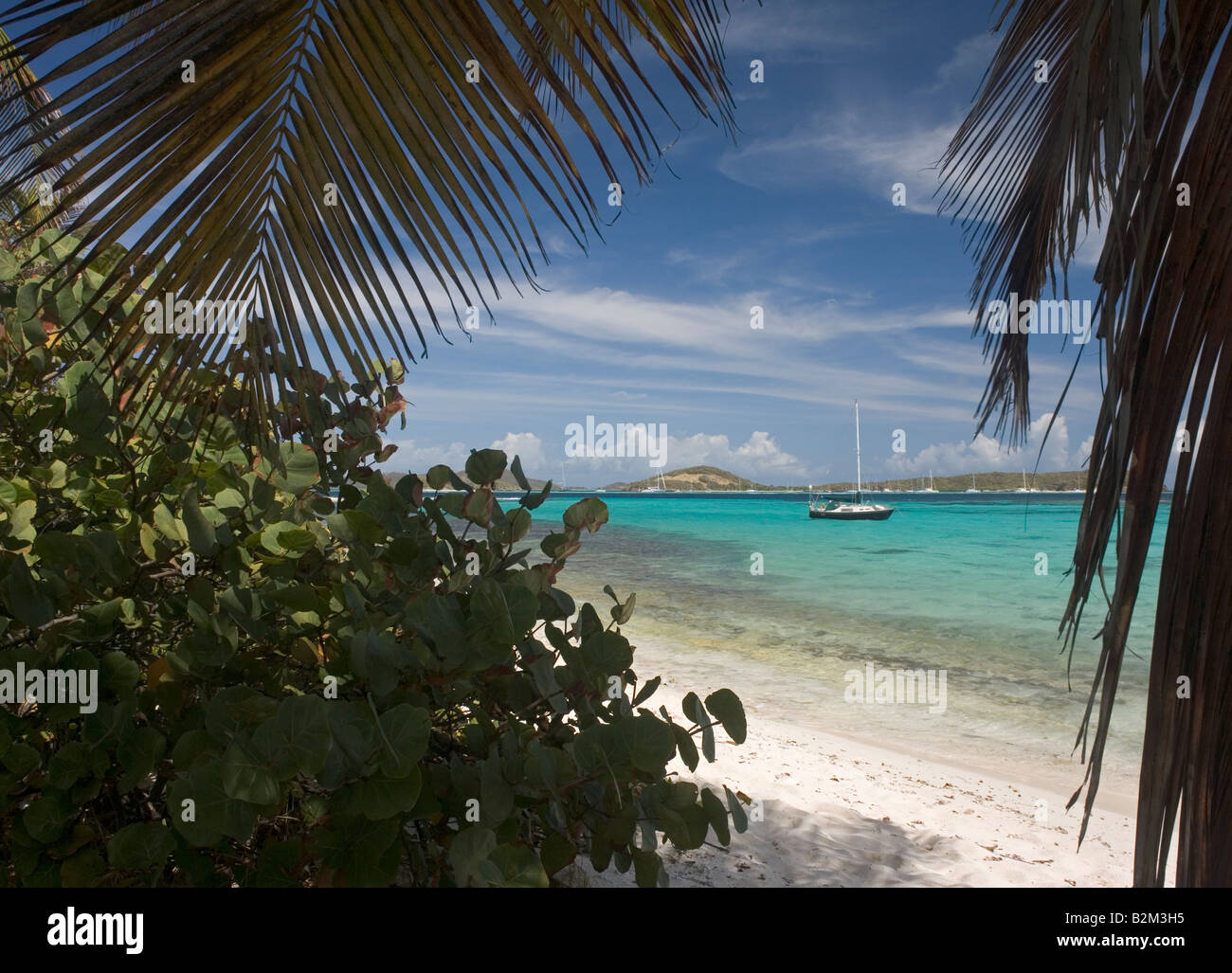 Ein einsamer Kreuzfahrt-Segelboot bei Petit Tabac Insel in den Tobago Cays St. Vincent und die Grenadinen Stockfoto