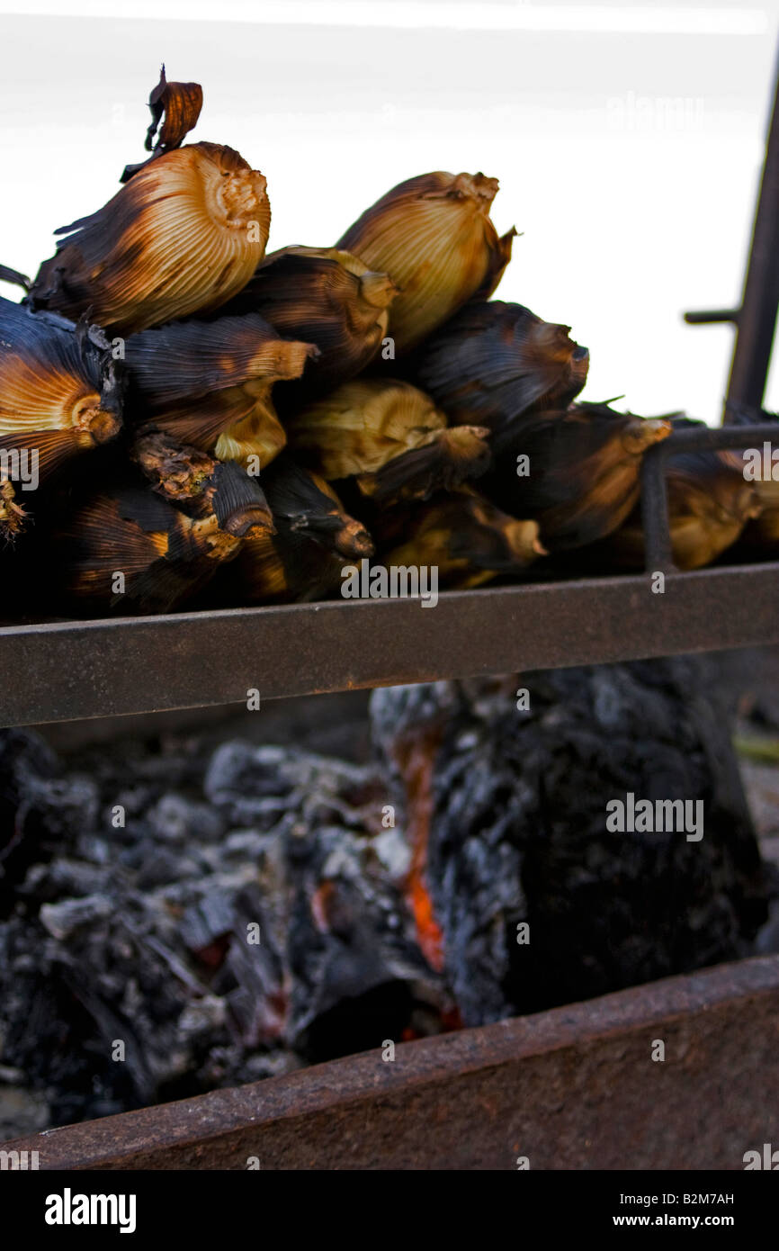 Monterrey, Mexiko, Maiskolben zubereitet am Grill in ihre Scheide Stockfoto