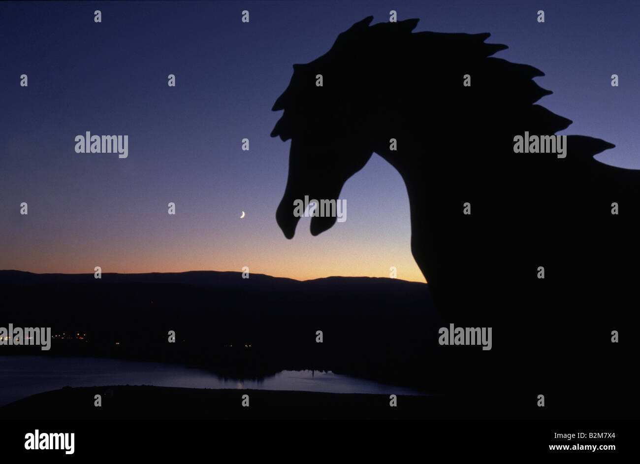 Vantage Ponys Pferd Kopf Washington Stockfoto