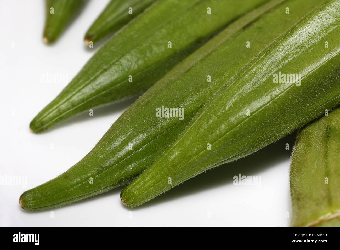 Eine Reihe von essbaren Samenkapsel Okra Stockfoto