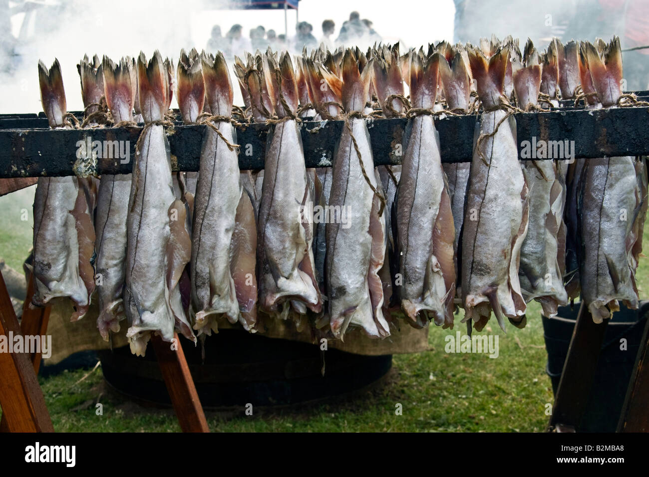 Rack voller Smokies, traditionelle frischer Fisch geräuchert über offenen Feuer in Arbroath Angus Scotland UK Stockfoto