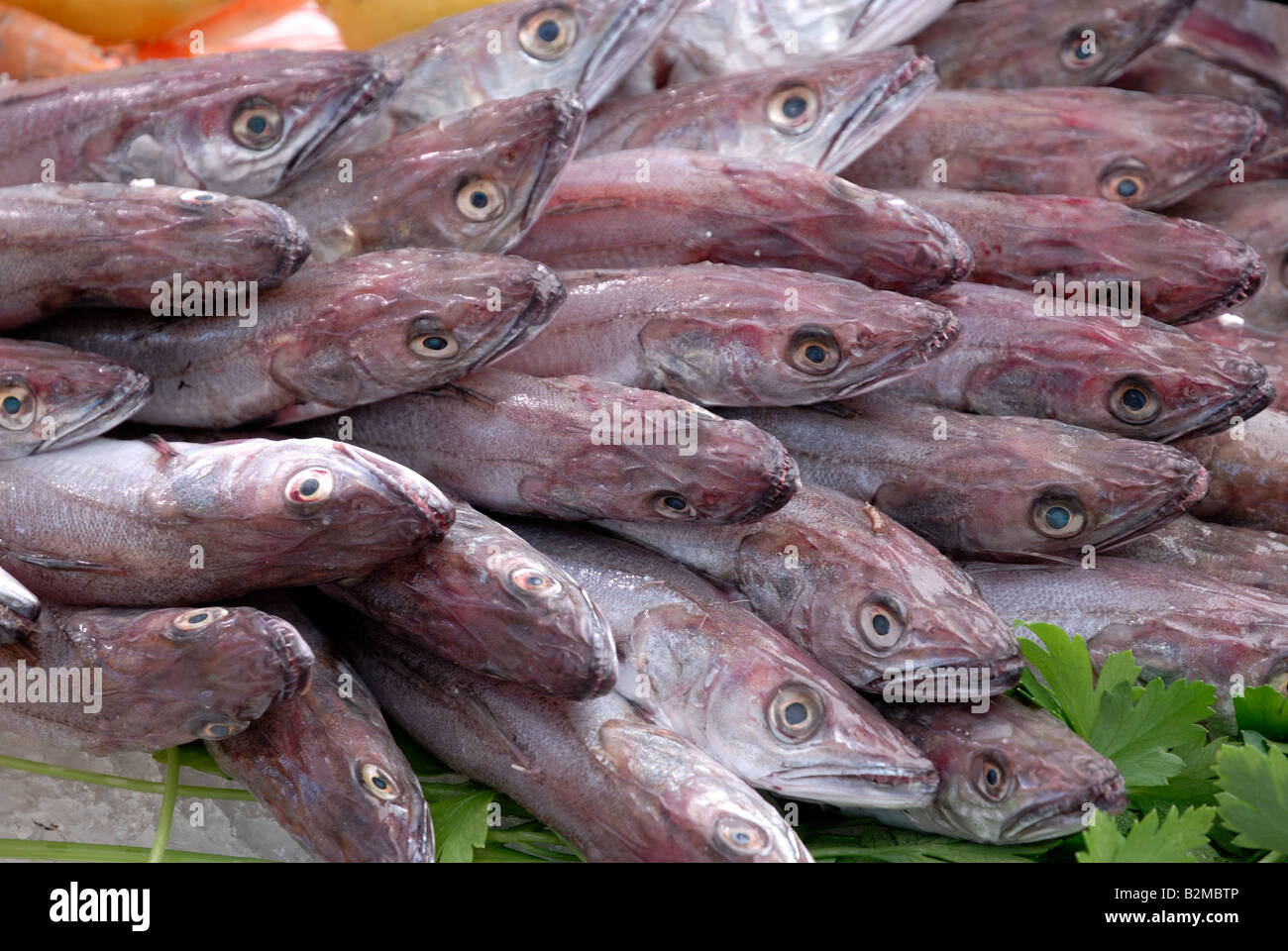 Frischer Fisch am Markt in Aix en Provence, Frankreich Stockfoto