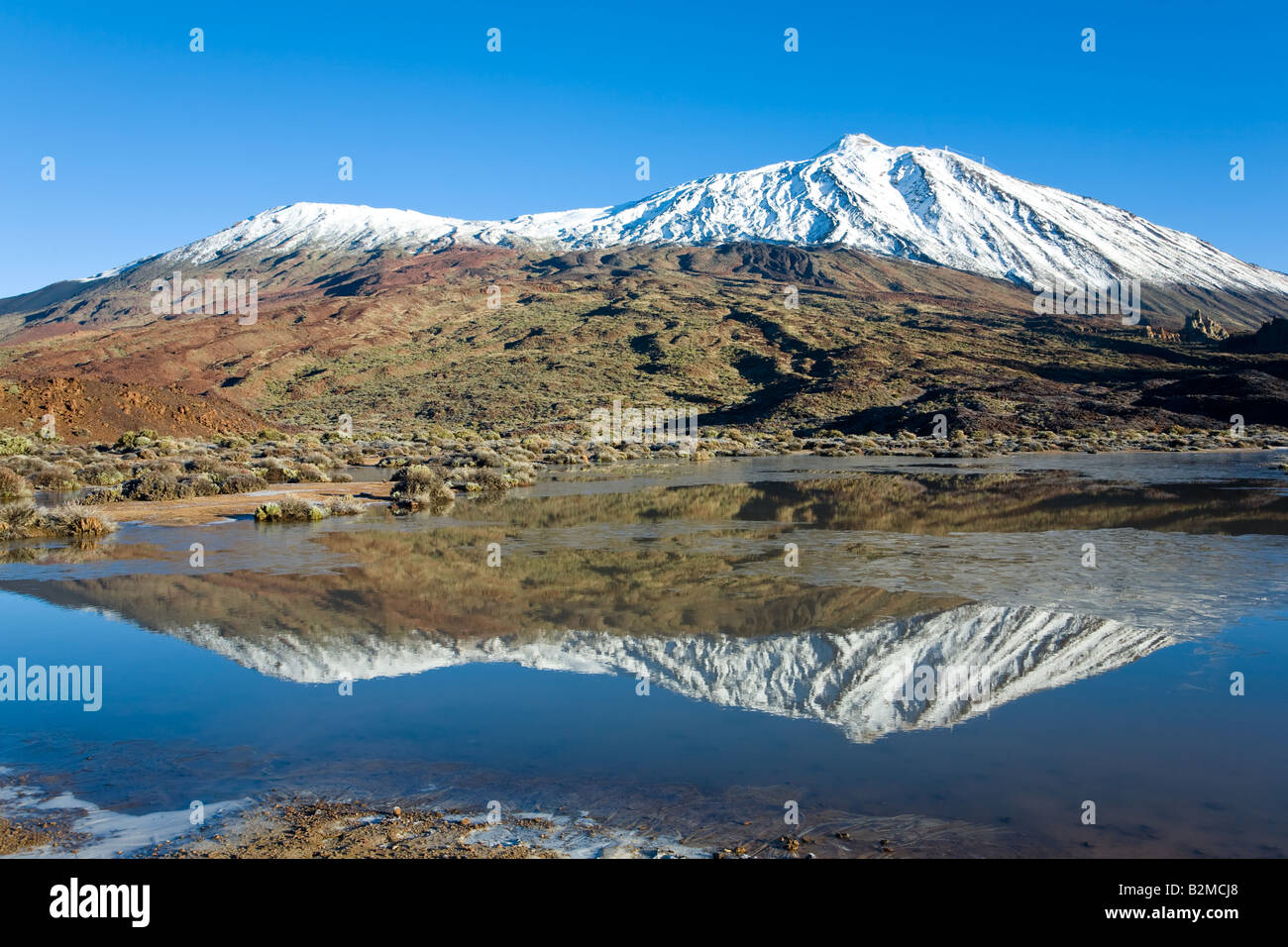 Der Teide-Teneriffa-Kanarische Inseln Stockfoto