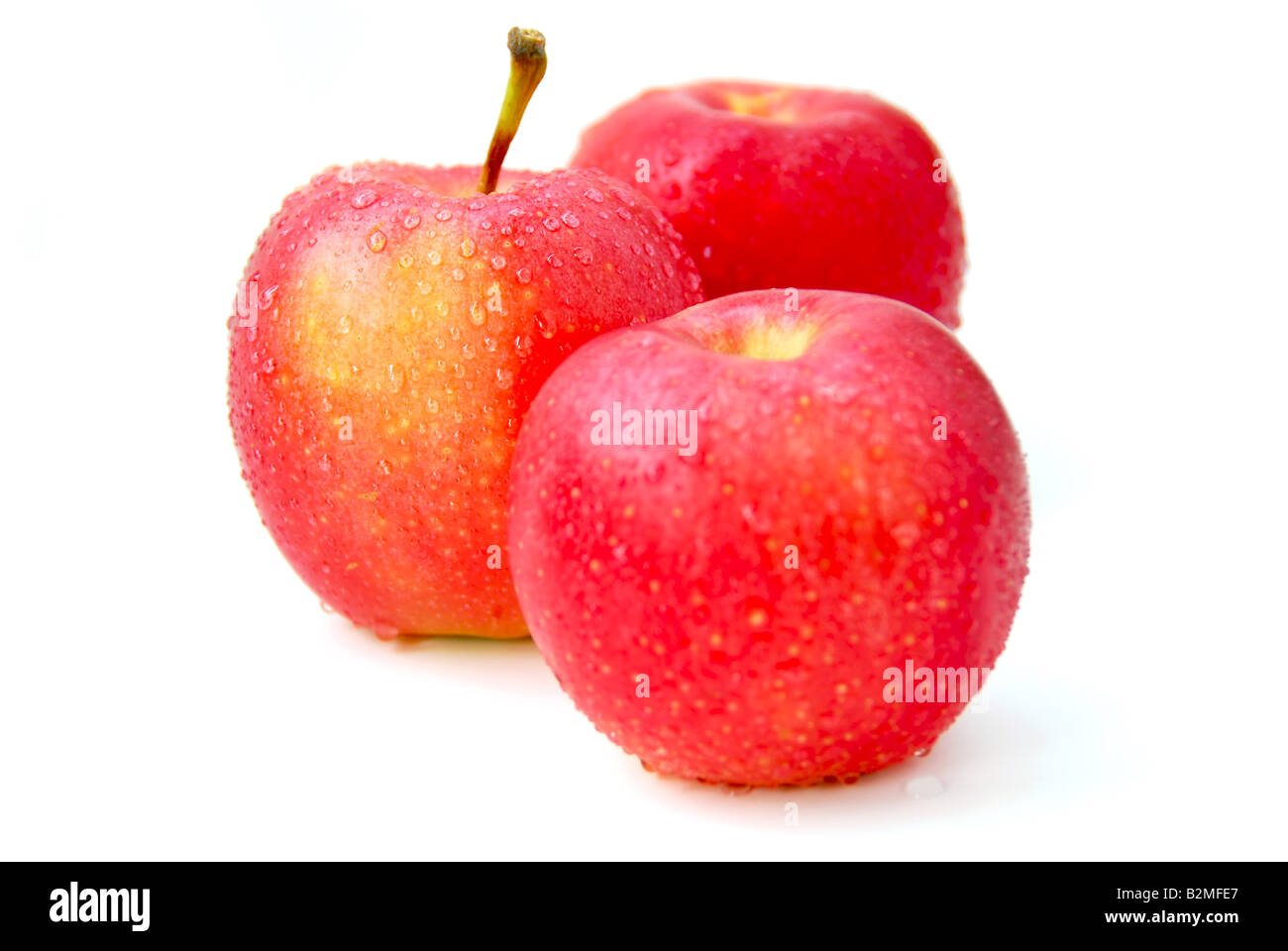 Drei rote Äpfel mit Wassertropfen auf weißem Hintergrund konzentrieren sich auf den mittleren Apfel Stockfoto