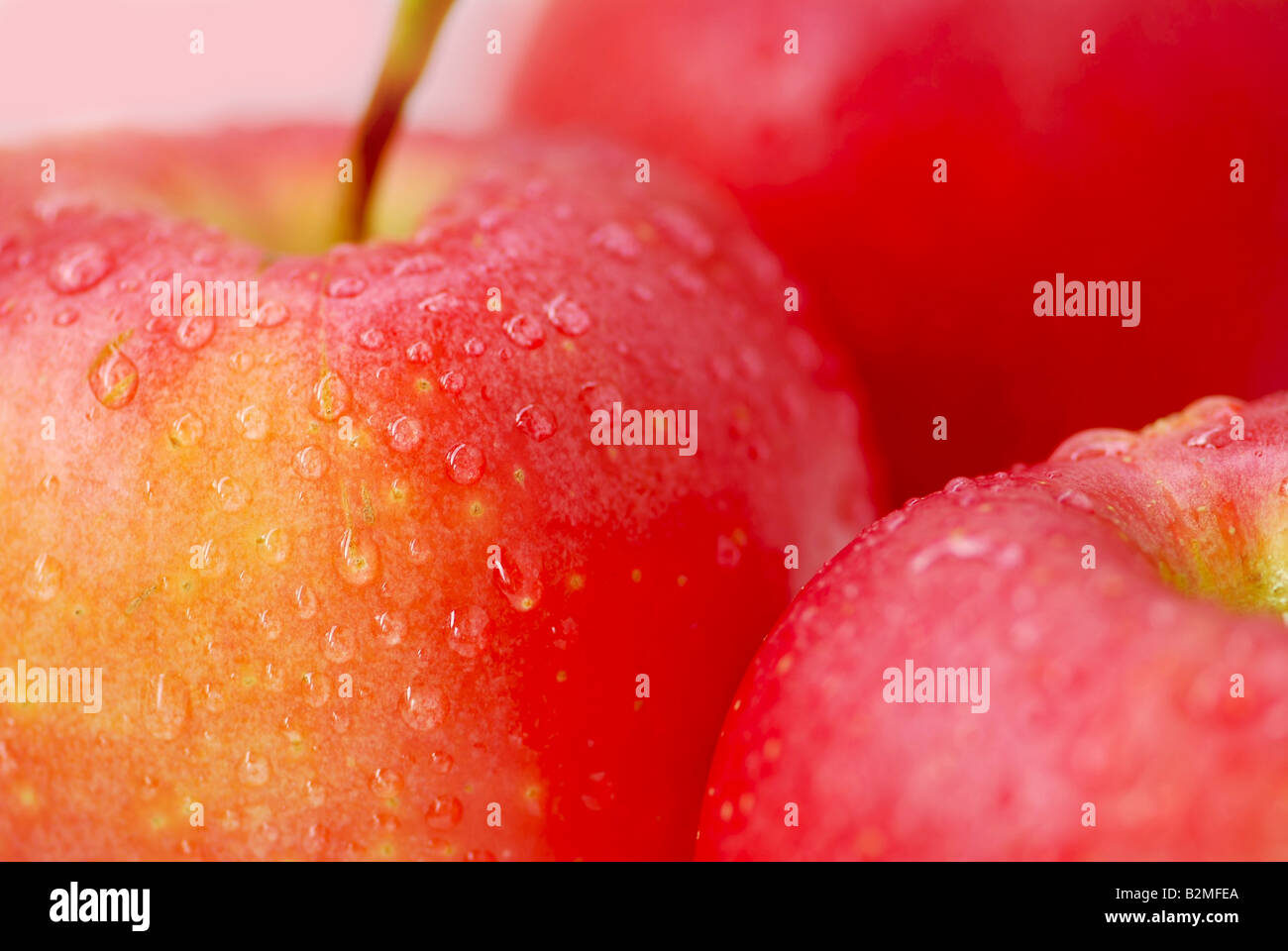 Drei rote Äpfel mit Wassertropfen hautnah Stockfoto
