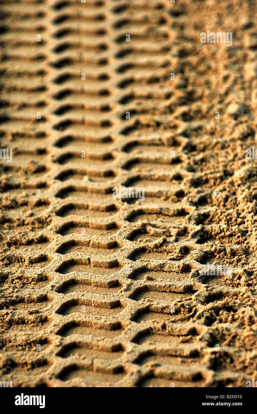 Spur im sand Stockfoto
