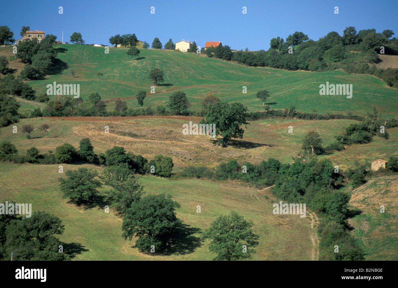 Land, Amiata Roccalbegna, Italien Stockfoto