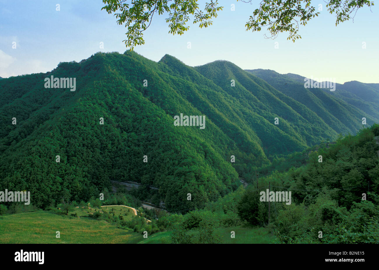 Laub-Holz, San Benedetto in Alpe, Italien Stockfoto