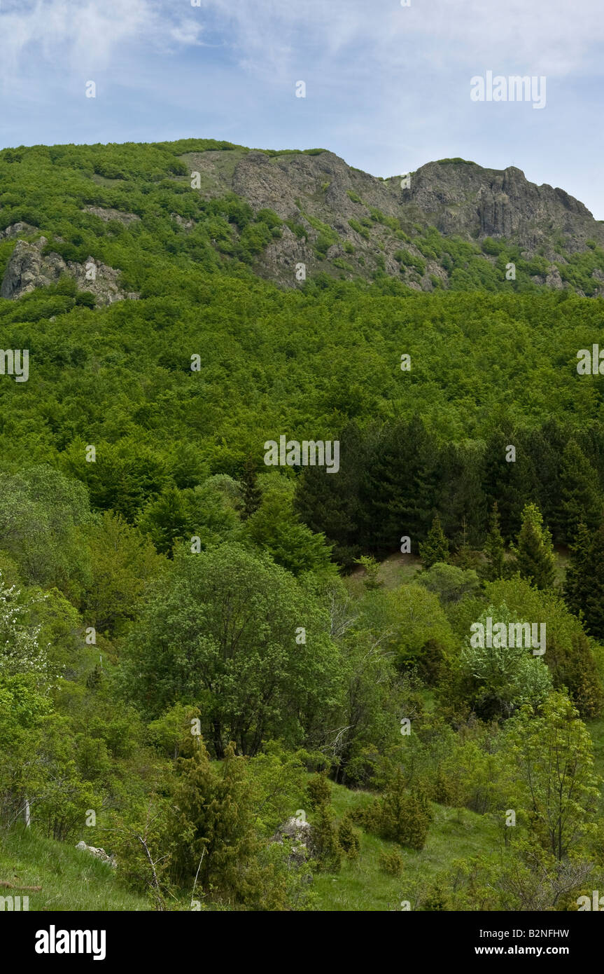 Chiodo Berg, Aveto Regionalpark, Italien Stockfoto