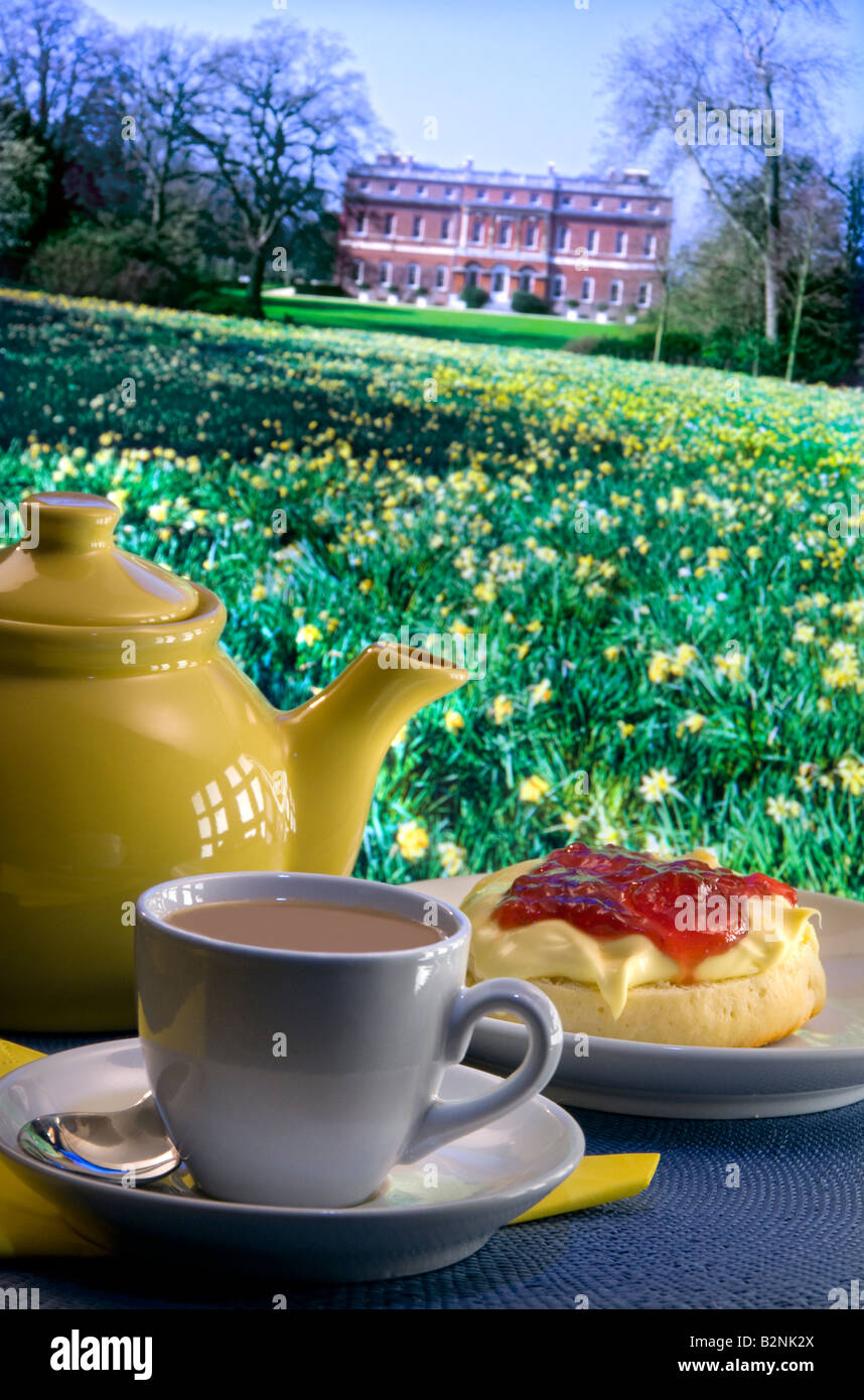 Cream Tea UK Picknicktisch in üppigem Feld von Frühlings Narzissen Gelände von typisch englischen Herrenhäusern, England, Großbritannien Stockfoto