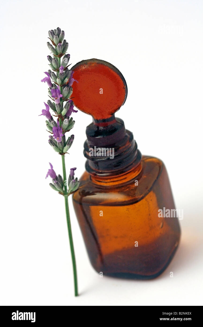 Lavendel und Essenz Stockfoto