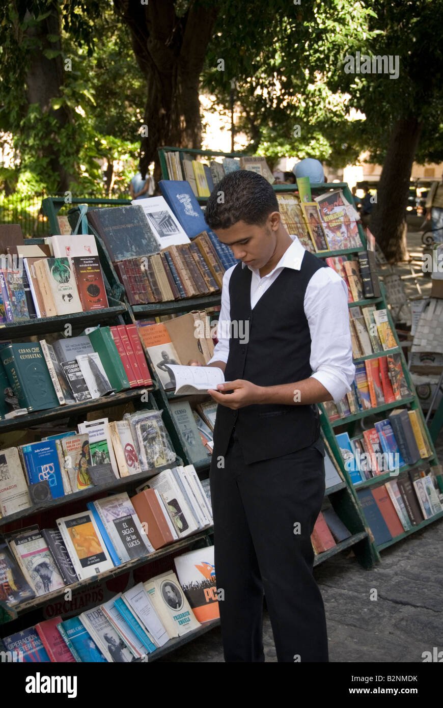Mann Suche gebrauchte Bücher zum Verkauf an einen Buchmarkt am Plaza De Armas in La Habana Vieja Havanna Kuba Stockfoto