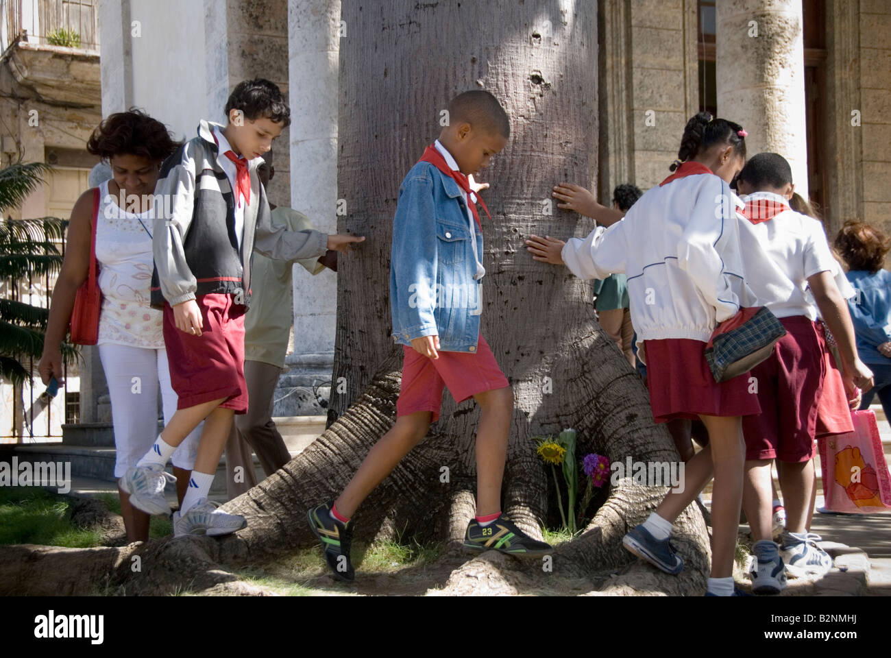 Kubaner feiern Jahrestag der ersten Masse und Stadtrat von Havanna Spaziergang durch den berühmten Baum von El Templete der Doric Stockfoto