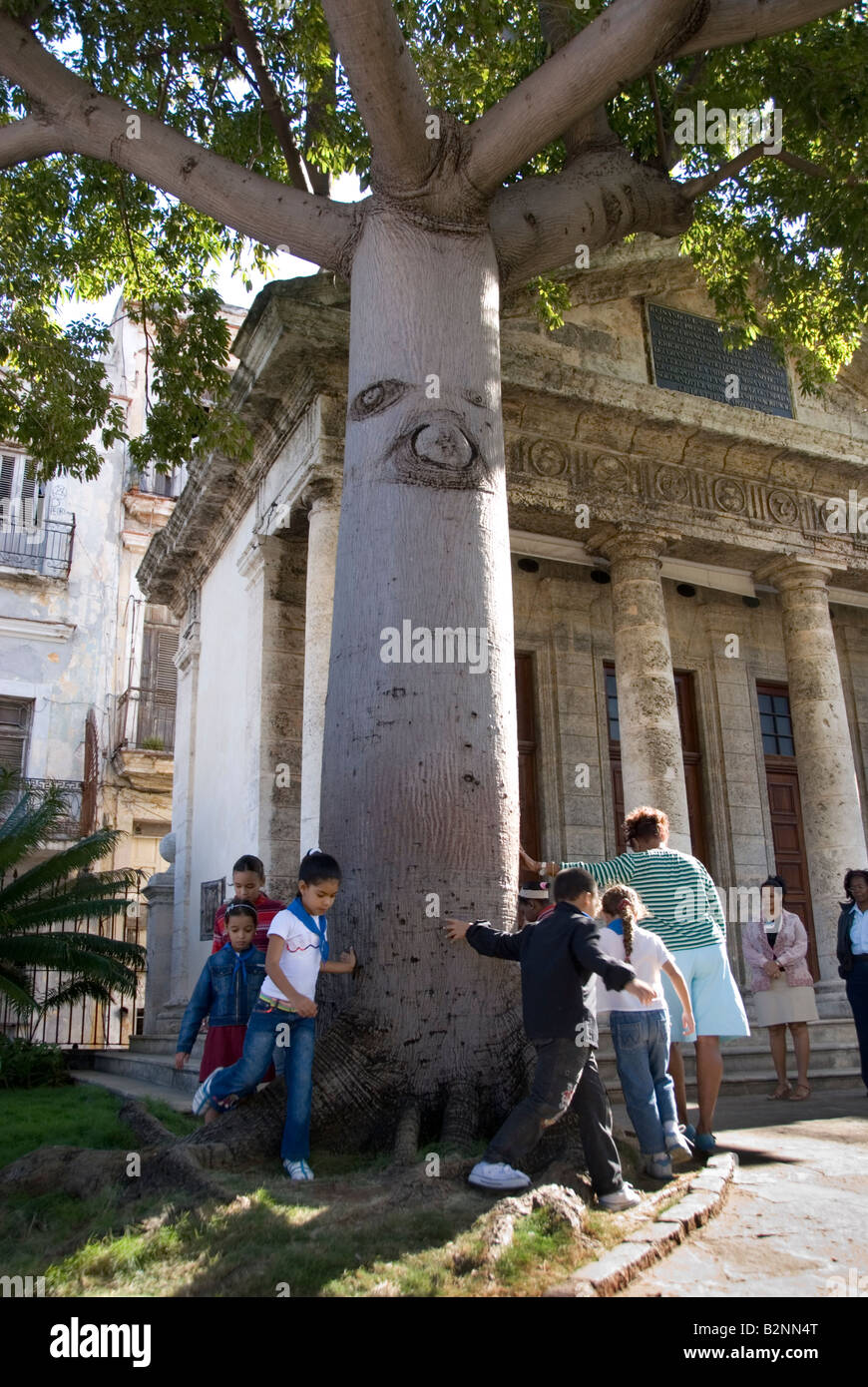 Kubaner feiern Jahrestag der ersten Masse und Stadtrat Spaziergang durch den berühmten Baum von El Templete der dorischen. Havanna Stockfoto