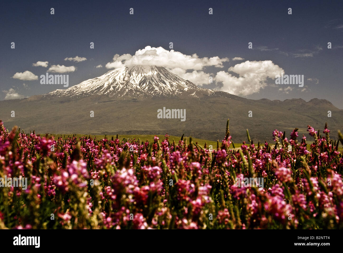Berg Ararat, schneebedeckten schlafender Vulkan und Stätte von Noahs Arche biblischen Geschichte Stockfoto