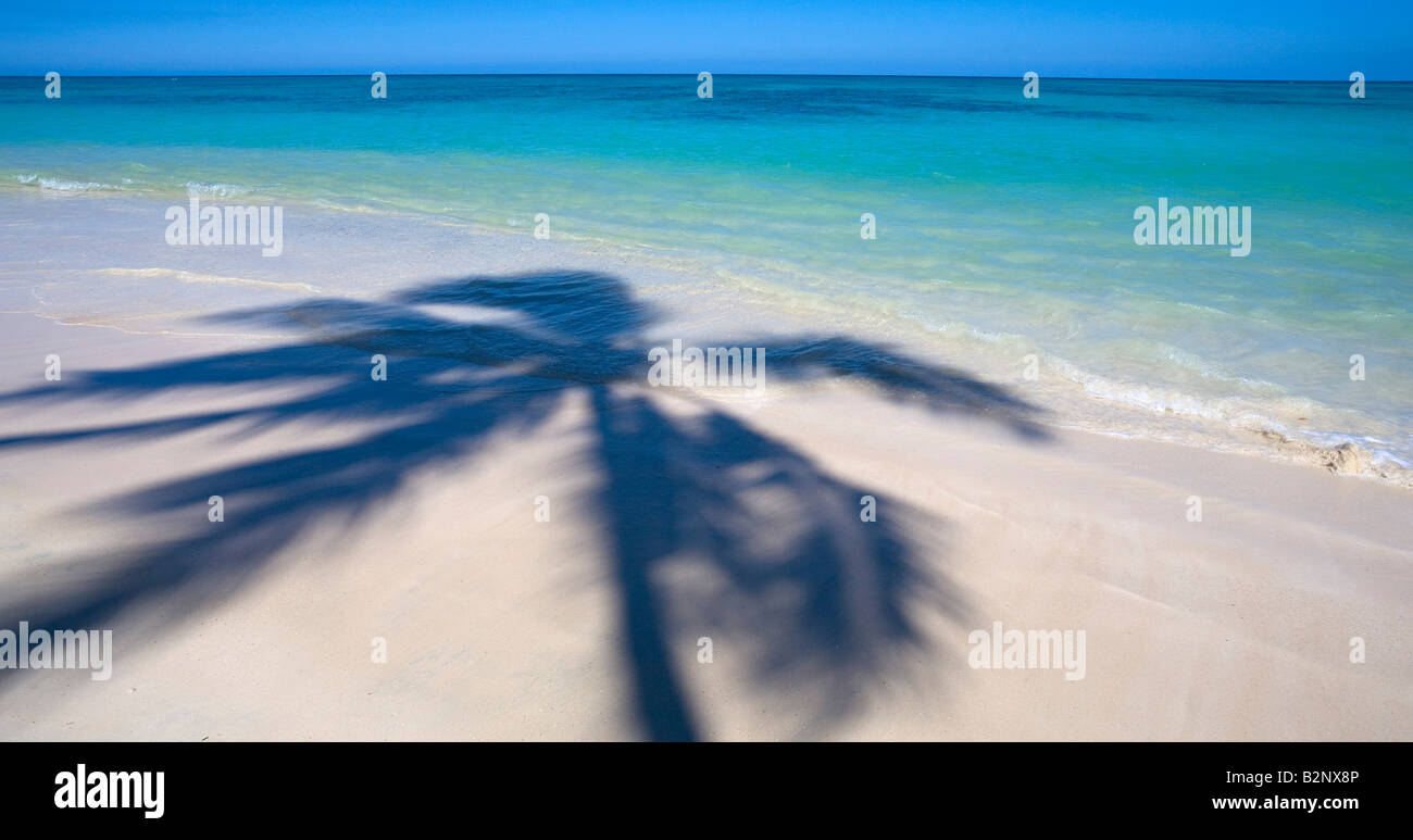 Palm-Schatten auf Lanikai Beach Kailua Oahu Hawaii Stockfoto