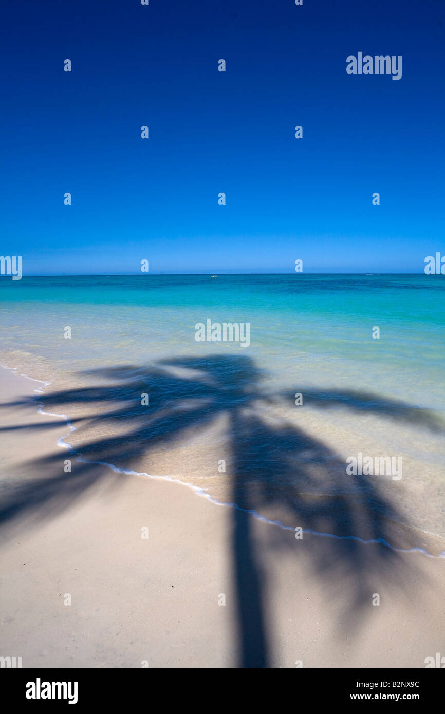 Palm-Schatten auf Lanikai Beach Kailua Oahu Hawaii Stockfoto