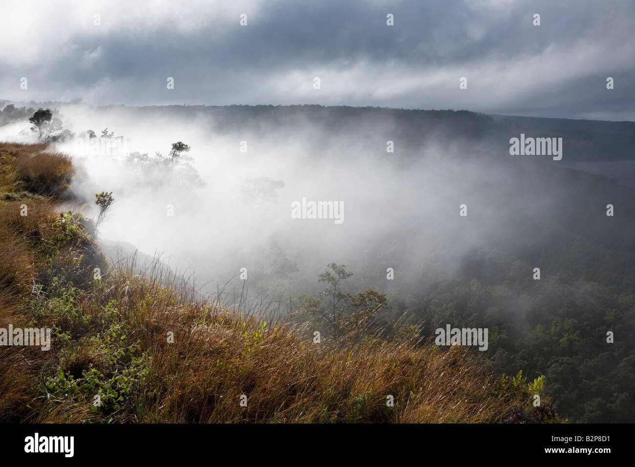 Die dampfenden Bluff am Rande des Kilauea Caldera Hawaii Volcanoes National Park Big Island Hawaii USA Stockfoto