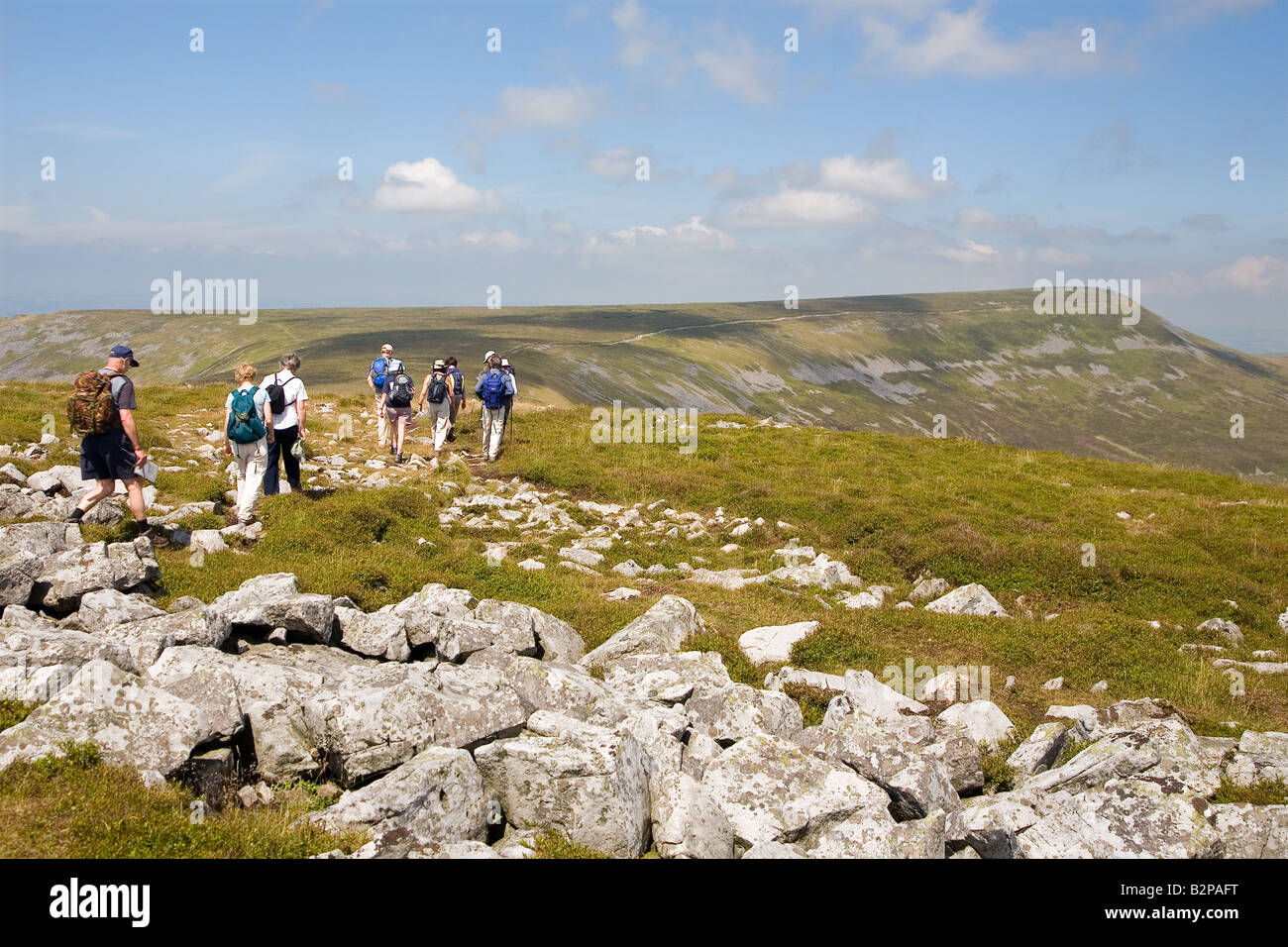 Fiel, zu Fuß von Pen Cerrig-Calch zum Stift Alt-Mawr, schwarzen Berge, Powys, Wales Stockfoto