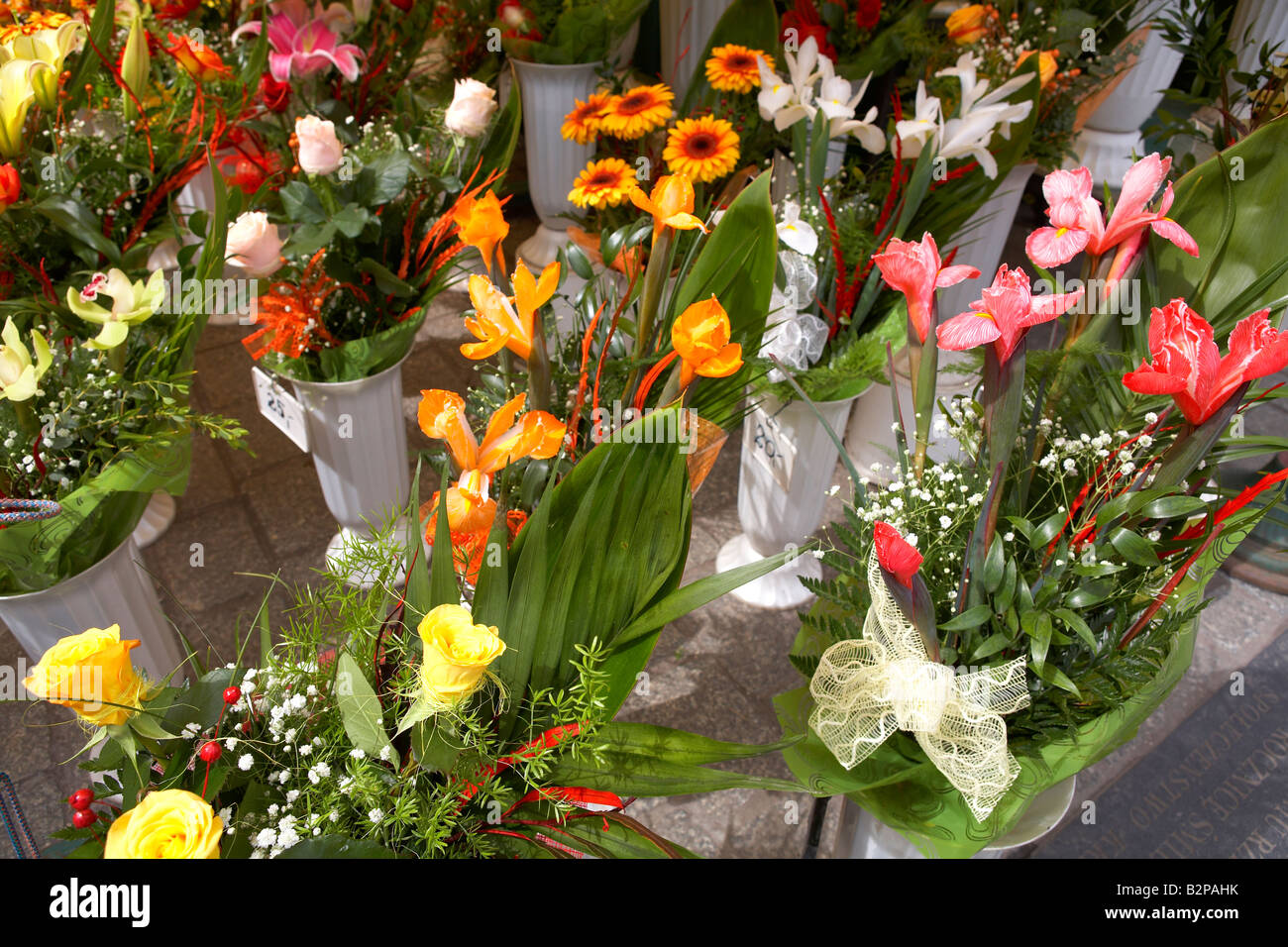 Polen Krakau Cracow Blumen im Marktplatz Stockfoto