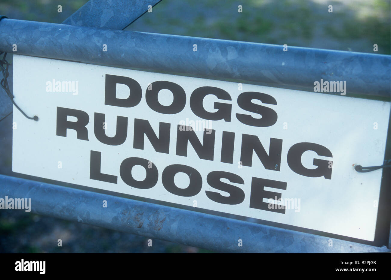 Schwarz / weiß Zeichen mit Aluminium-Tor mit lückenhaft Rasen Garten hinter besagt Hunde herumlaufen verdrahtet Stockfoto